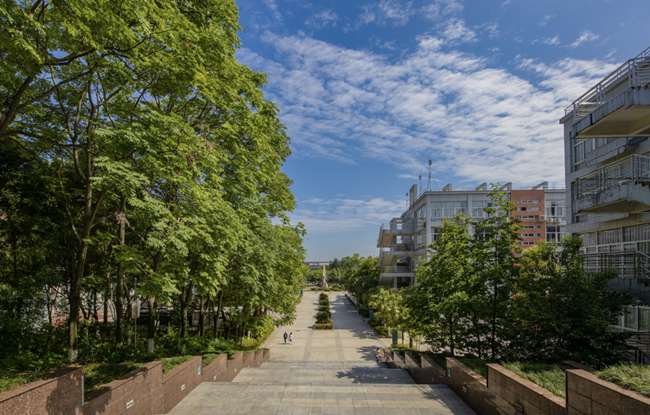 四川遂宁高级实验学校地址在哪里,怎么乘车到校